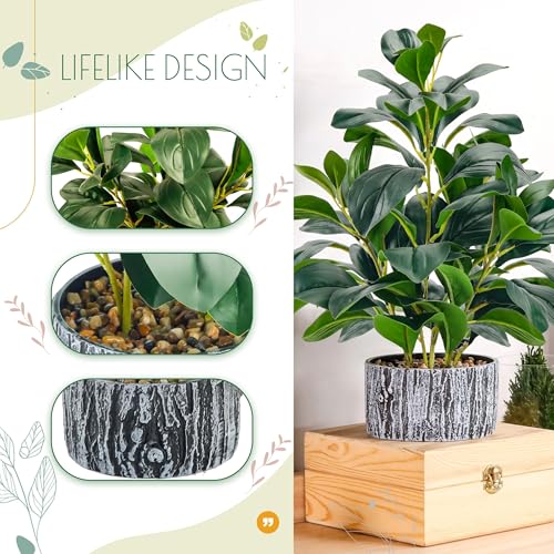 Der Rose Fake Plants Artificial Plants Indoor with Black and White Striped Pots for Room Home Bathroom Bedroom Kitchen Decor - Image 4