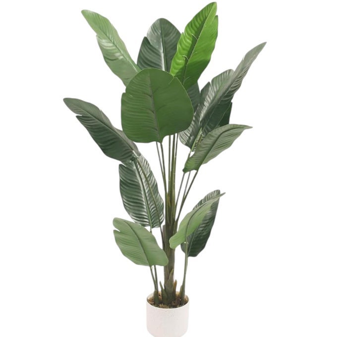 FOX FERN Natural Looking Real Touch Artificial Plant with White Pot for IndoorHomeOfficeLiving Room Decor Travellers Palm GAJW3538 120cm
