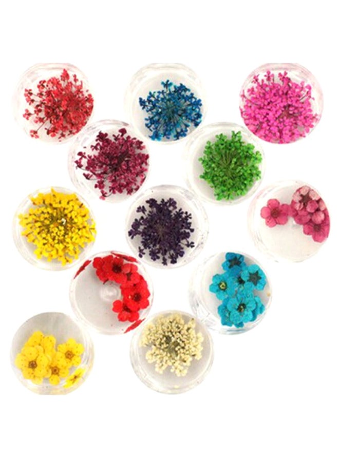 12-Piece Real Nail Dried Flowers Kit Multicolour