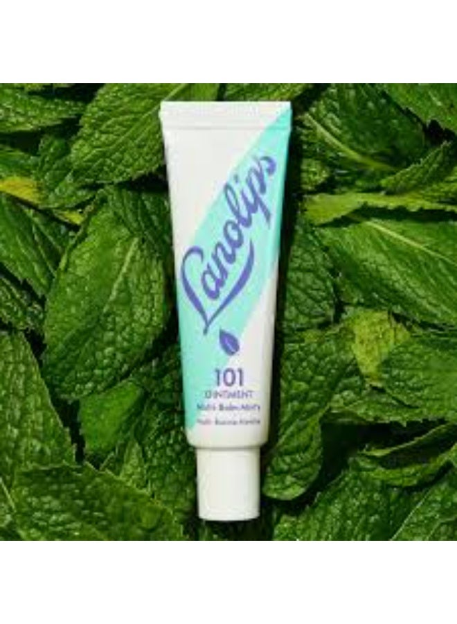 Lanolips 101 Ointment Multi-Balm Minty 10g - Image 2