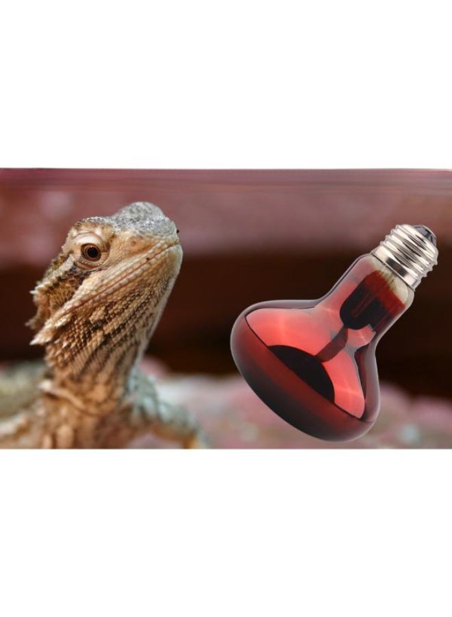 NomoyPet مصباح ليلي أحمر دائري من نوموي بيت - ND-21 (100 واط) - Image 3