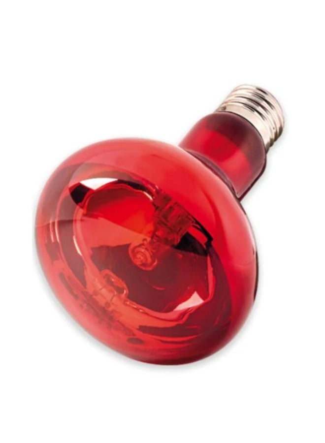 NomoyPet مصباح ليلي أحمر دائري من نوموي بيت - ND-21 (100 واط) - Image 1