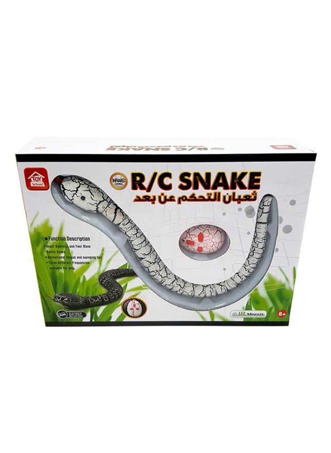 Remote Controlled Rattlesnake  - Image 4