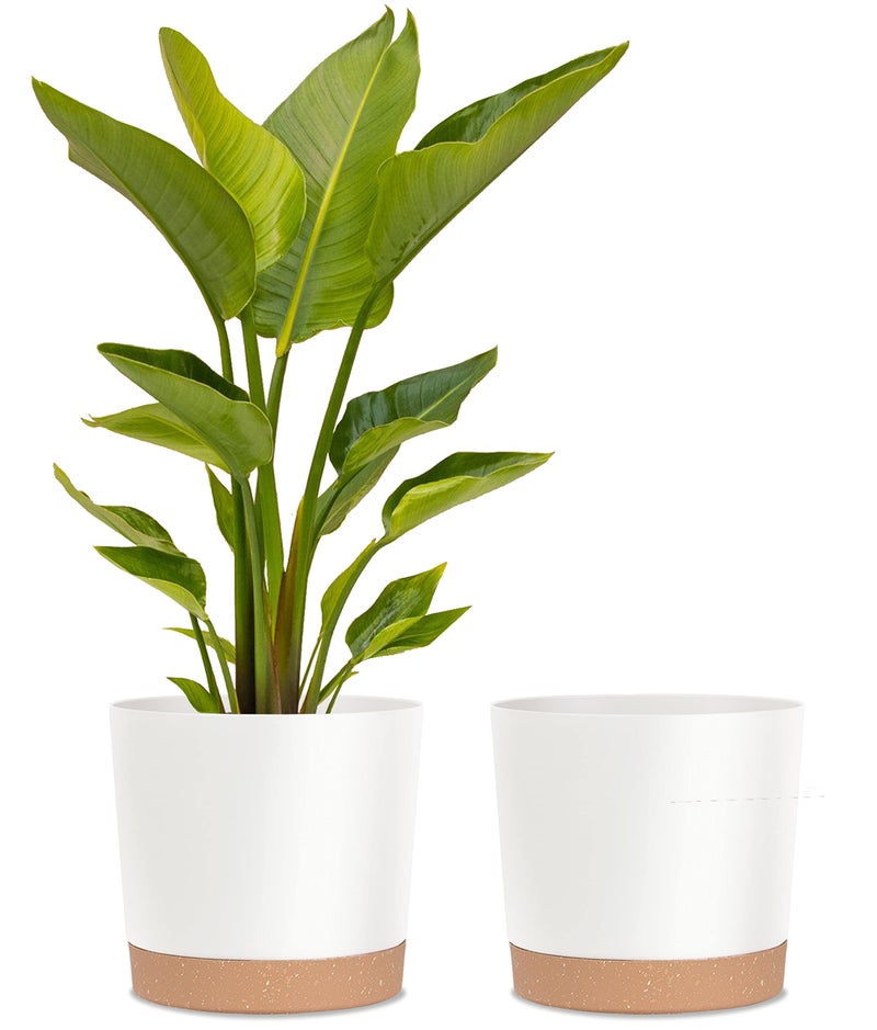 kubvici Plant Pots for Indoor Plants 2 Pack 12 Inch Pots for Plants Lightweight Large White Planters for Indoor Plants Outdoor Plants Big Plastic Plant Pot Flower Pot with Drainage 12 White