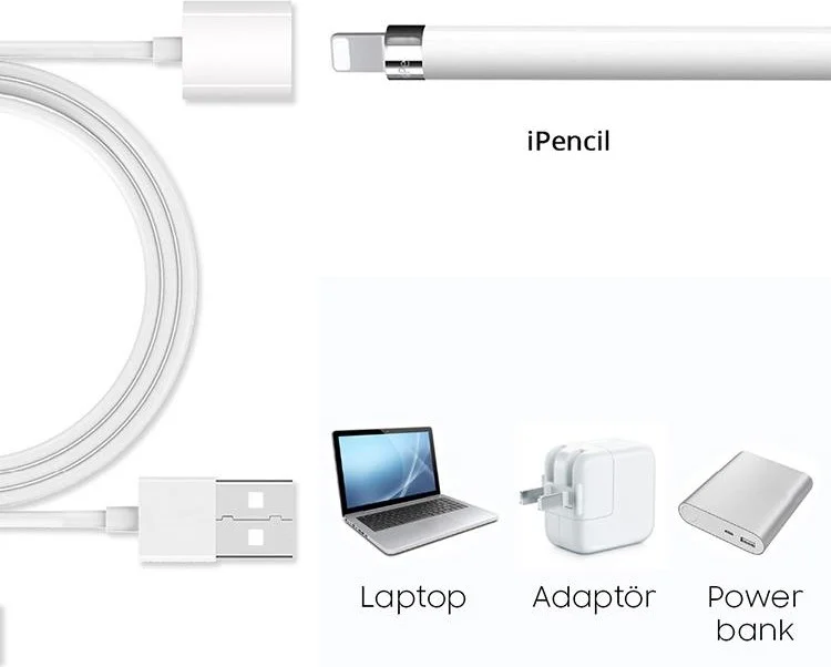 Polhammobile 1 Meter USB To Lightning Charging Cable for Apple Pencil 1st and 2nd Generation Compatible