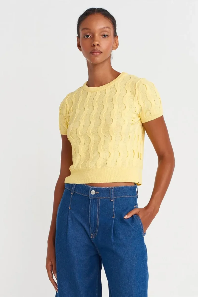 DILVIN Textured Ribbed Crop Blouse