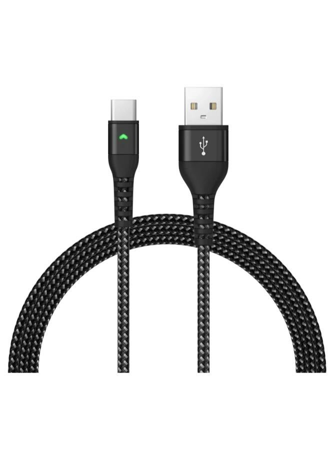 LANEX Lanex 3A USB to Type-C Cable LTC-N14C  - Image 1