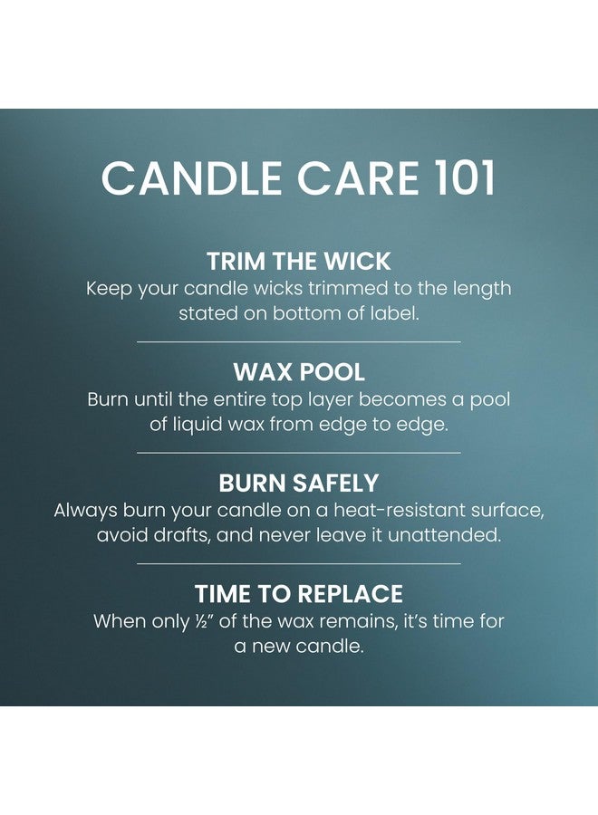 Yankee Candle Bayside Cedar Scented, Signature 20oz Large Tumbler 2-Wick Candle, Over 60 Hours of Burn Time - Image 5