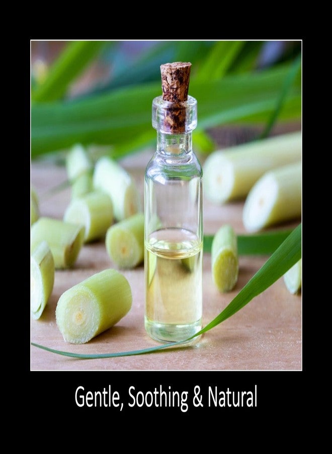 دانا زيت عشبة الليمون العطري من دانا: نقي، غير مخفف (2 أونصة سائلة) - Image 3