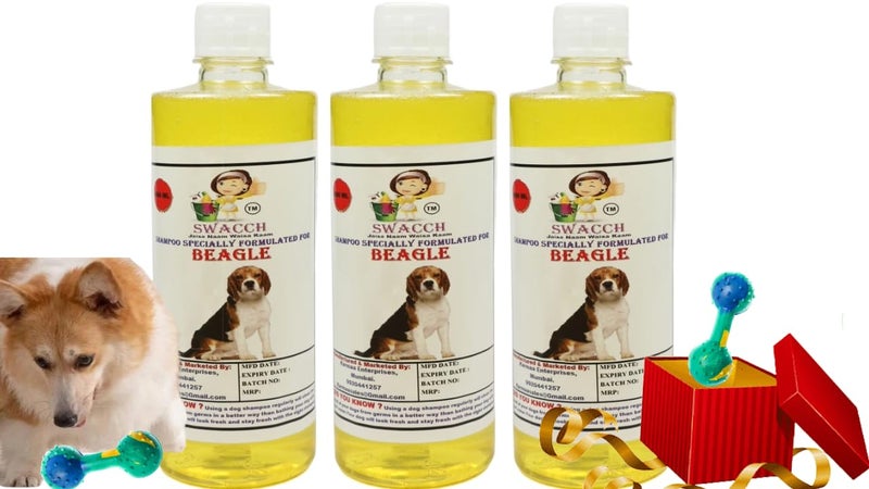 swacch Beagle Dog Shampoo + Dumbbell Toy I Durable Rubber Dog Toy for Chewing I Playing,Teeth Cleaning & Training Toy I Combo Pack I 500ml Pack of 3 Lemon - Image 1