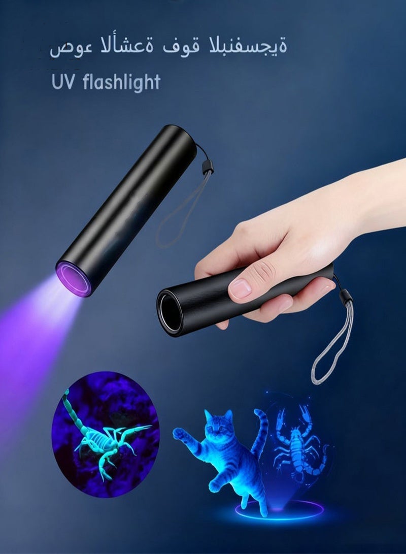 Rechargeable 365nm UV Flashlight, Black Light for Pet Urine Detection, Scorpion Hunting, Mold & Fungus, Cat Ringworm - Portable UV LED Torch Light for Home & Outdoor Use - Image 1