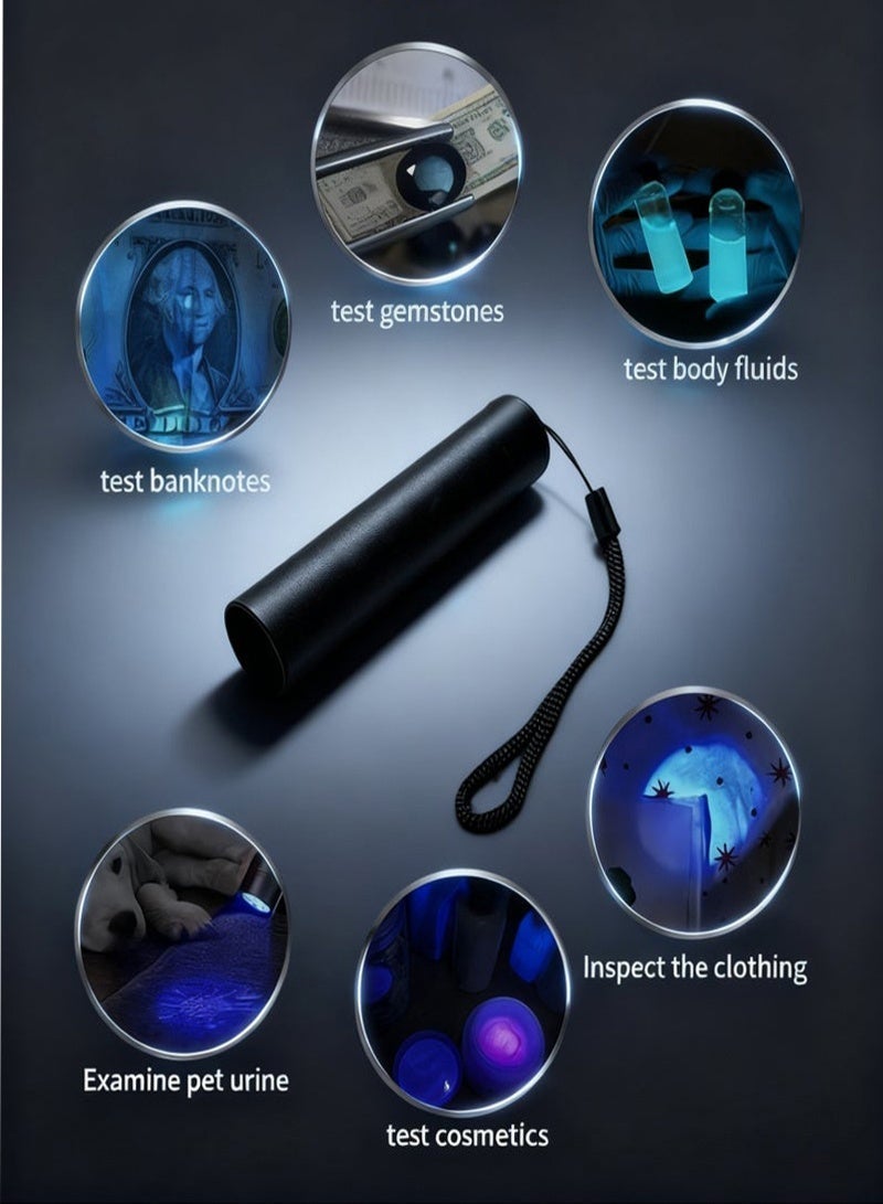 Rechargeable 365nm UV Flashlight, Black Light for Pet Urine Detection, Scorpion Hunting, Mold & Fungus, Cat Ringworm - Portable UV LED Torch Light for Home & Outdoor Use - Image 5
