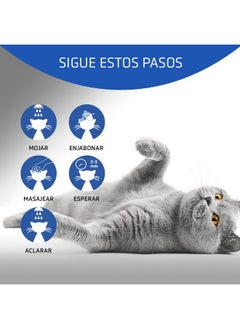 ARTERO ARTERO Shampoo 4CATS 33.9 OZ  - Image 2