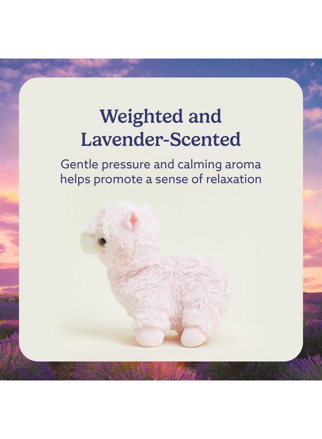 warmies Microwavable & Weighted Stuffed Animals, Llama - Heated Stuffed Animal Plushie for Warmth & Comfort - Cute Soft Plush Toys for Adults & Children (Boys, Girls, Babies & Toddlers) - Image 3