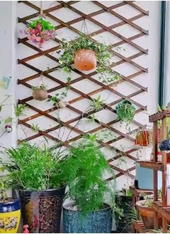 HOME TASTE Hometaste Versatile Wood Fence Panel Expandable Outdoor Garden Decor With Climbing Trellis And Plant Frame Holder - Ideal For Indoor And Outdoor Use (75Cm)  - Image 1