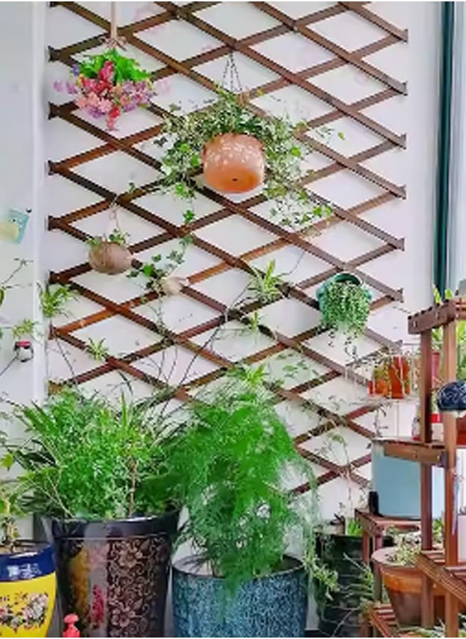 HOME TASTE Hometaste Versatile Wood Fence Panel Expandable Outdoor Garden Decor With Climbing Trellis And Plant Frame Holder - Ideal For Indoor And Outdoor Use (75Cm)  - Image 1