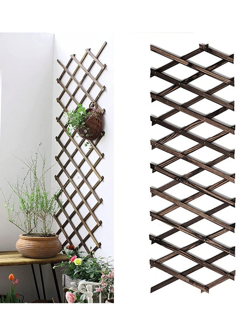 HOME TASTE Hometaste Versatile Wood Fence Panel Expandable Outdoor Garden Decor With Climbing Trellis And Plant Frame Holder - Ideal For Indoor And Outdoor Use (75Cm)  - Image 3