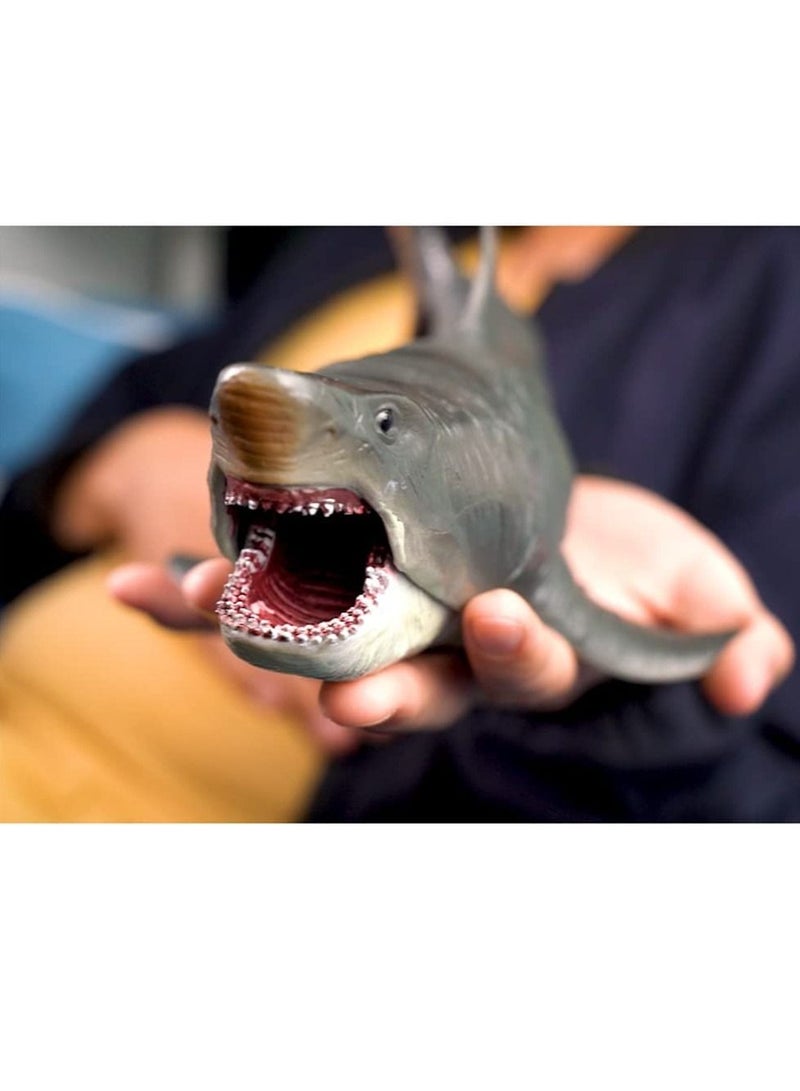 KASTWAVE ألعاب قرش كبيرة ميغالودون، تمثال حيوانات المحيط البلاستيكي المتنوع، نموذج قرش واقعي للكائنات البحرية، لعبة تعليمية لشكل القرش لجمع الهدايا، لعبة استحمام، زينة كعكة - Image 2