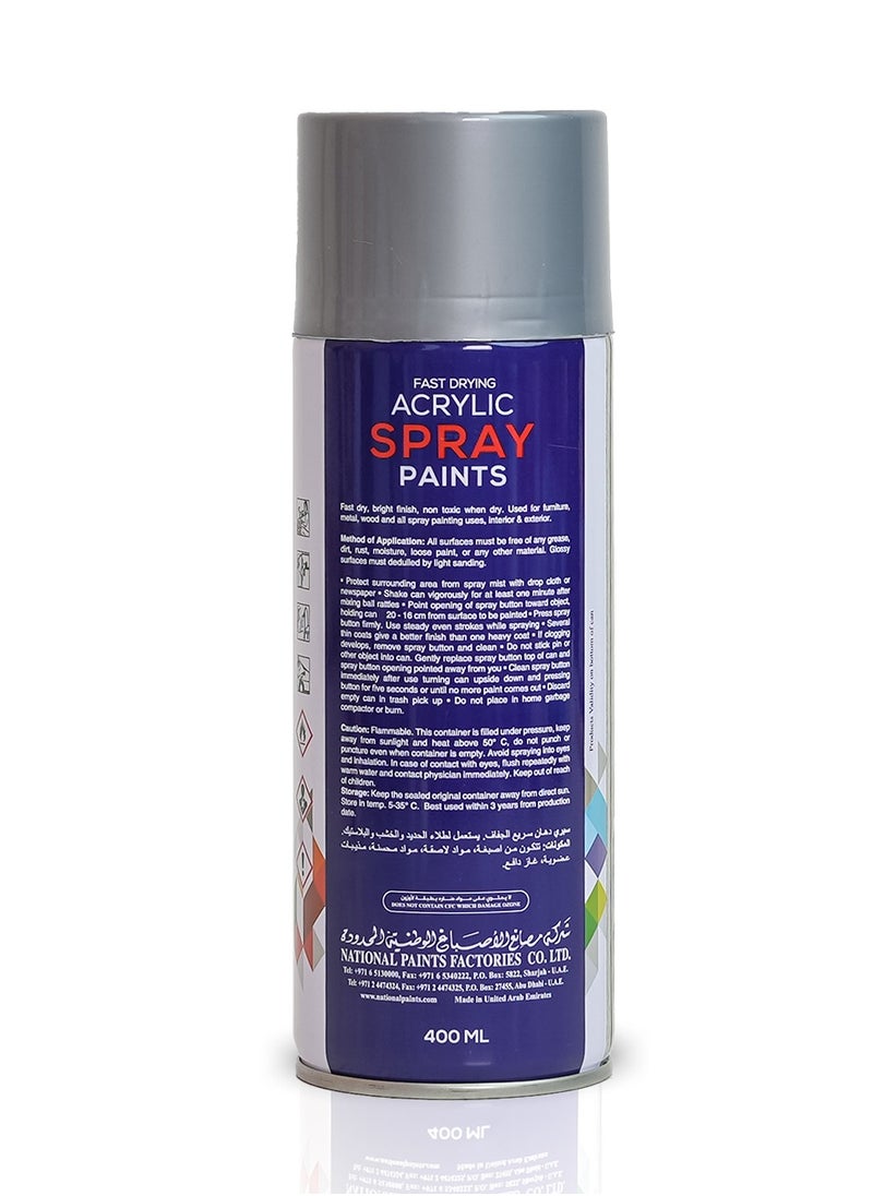 Fast Drying Acrylic Spray Paint - SILVER CHROME 505 - pzsku/Z1E6E6310B692F4EB509EZ/45/_/1736943108/82e1048a-d08f-40d6-9ce1-0b69c0668006