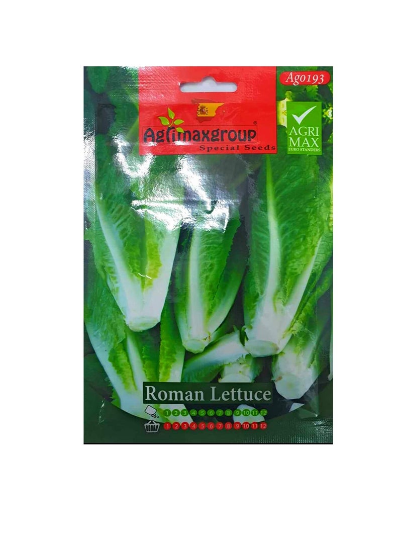 Agrimax - Agrimax Roman Lettuce Seeds - Image 1