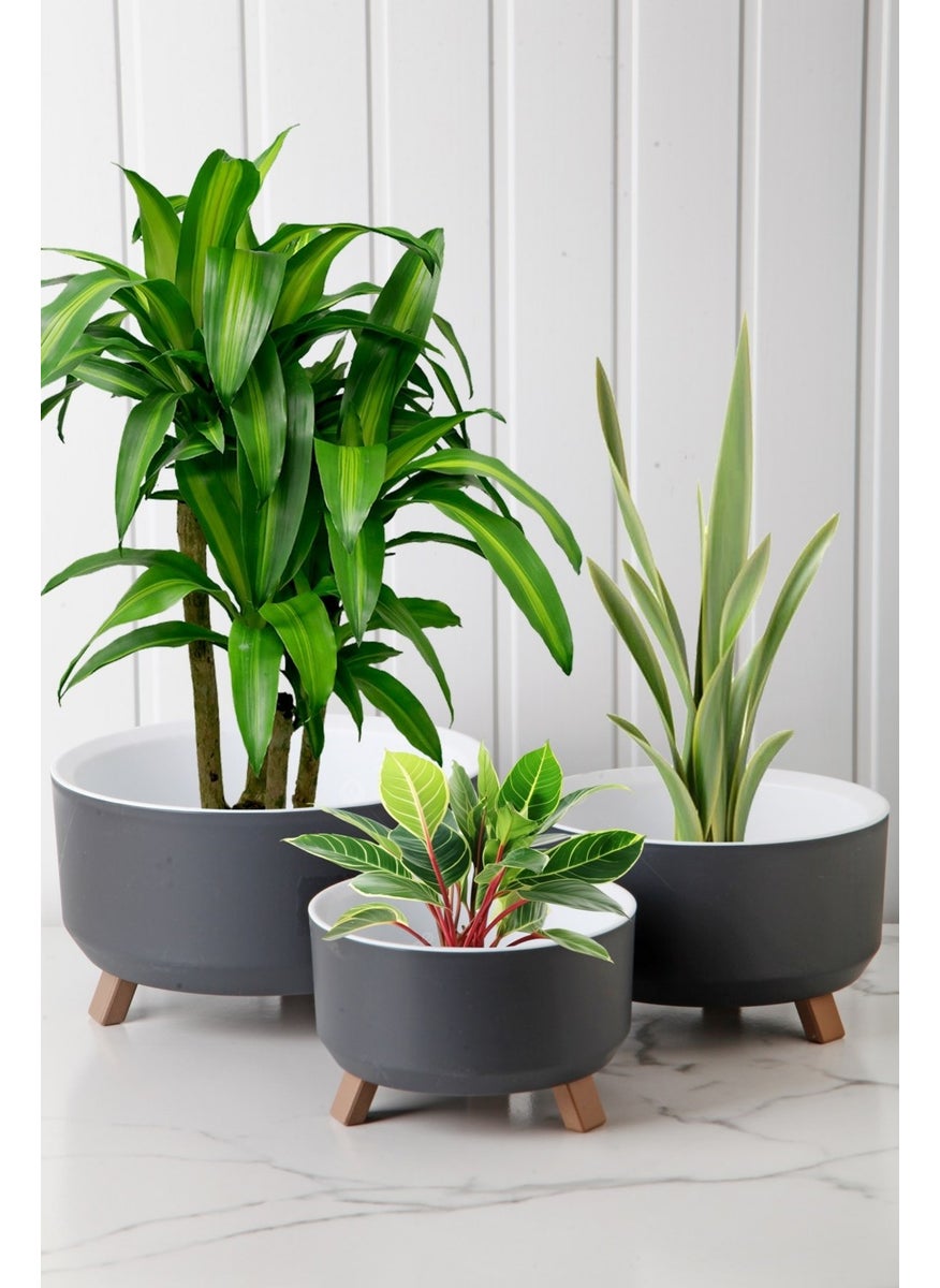 Nandy Home Tripot Model 3-Piece Flower Pot Set  - Image 1