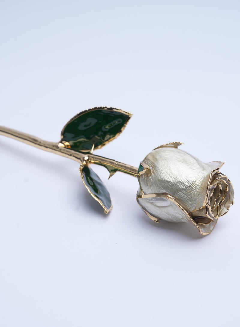 Forever Rose Real 24K Gold Rose,AliveRose Gold Dipped Rose,white,Gift for Her mom Wife Mother Day Anniversary Valentines Day - Image 3