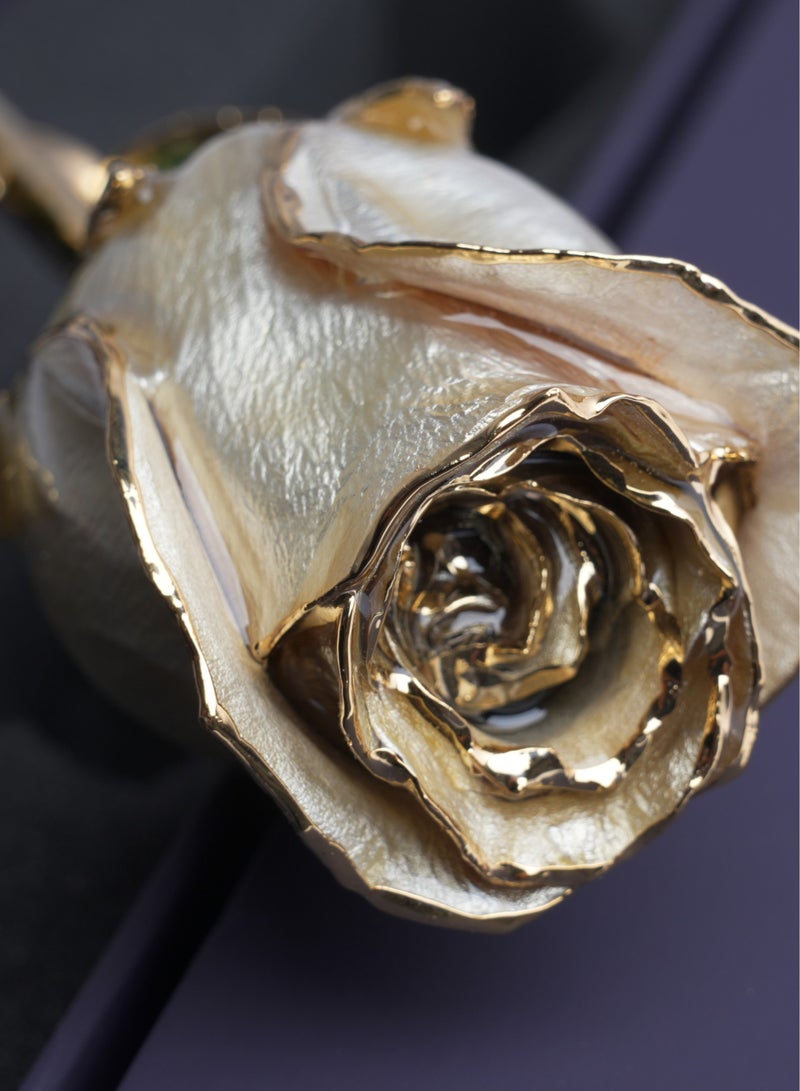 Forever Rose Real 24K Gold Rose,AliveRose Gold Dipped Rose,white,Gift for Her mom Wife Mother Day Anniversary Valentines Day - Image 2