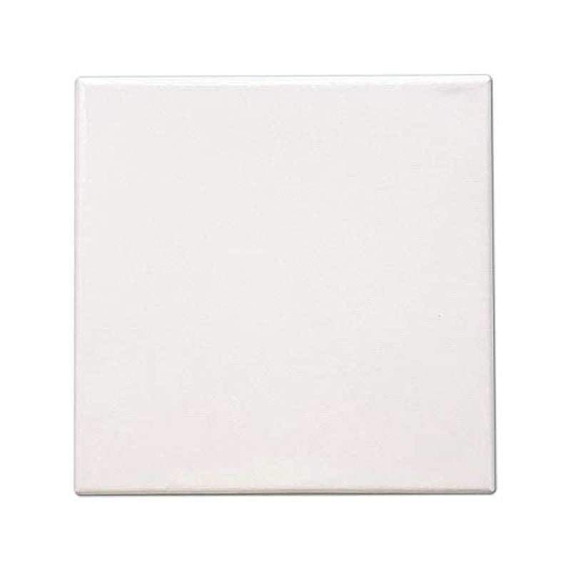 Eascan Art Mini Pre-Stretched Canvas 10 Oz Pack of 20 (5" x 5")
