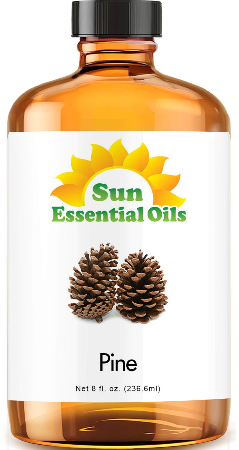 Sun Essential Oils 8oz Pine Essential Oil - Pine Aromatherapy Oil - Image 1