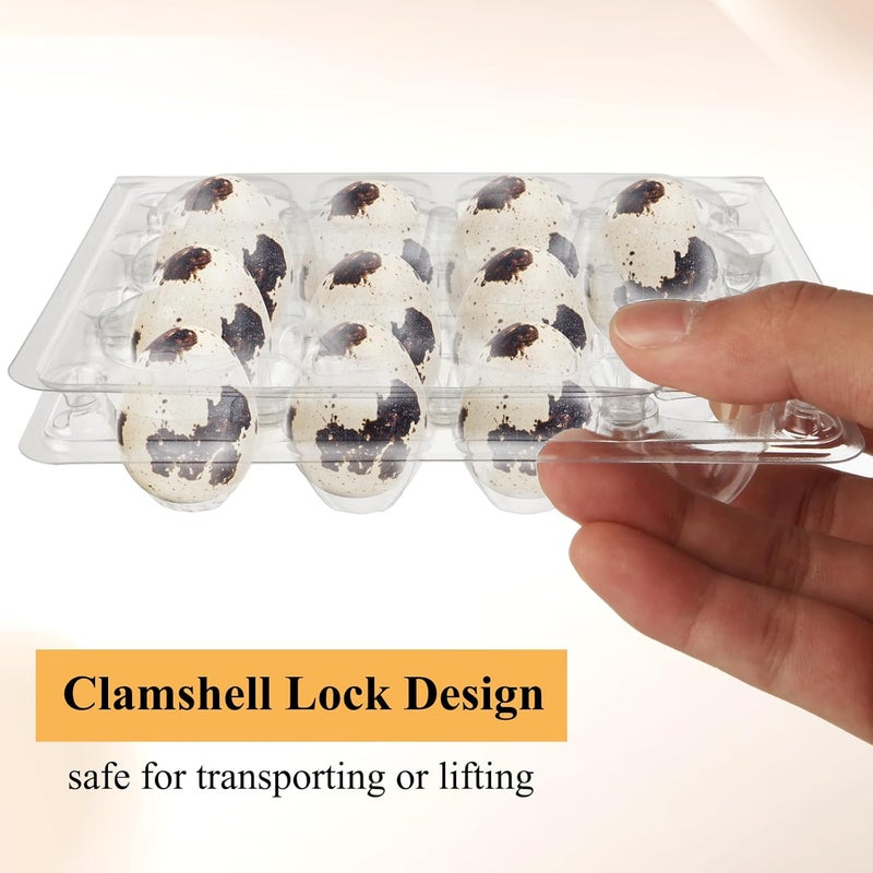 MIVIDE علب بيض السمان MIVIDE 150 حبة، 12 شبكة، علب بلاستيكية صغيرة شفافة لبيض السمان، حوامل علب البيض بكميات كبيرة للبيض الصغير، بيض السمان، بيض الحمام - Image 3