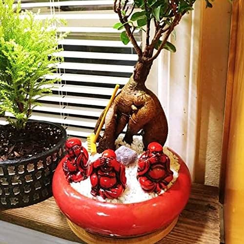 ARTKETTY Succulent Pots - 7.3 Inch Large Succulent Planters with Drainage Ceramic Bonsai Pots with Bamboo Tray, Shallow Planters for Indoor Cactus Plants Decorative Flower Plant Container - Image 5