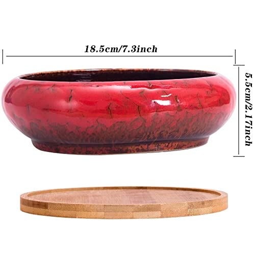 ARTKETTY Succulent Pots - 7.3 Inch Large Succulent Planters with Drainage Ceramic Bonsai Pots with Bamboo Tray, Shallow Planters for Indoor Cactus Plants Decorative Flower Plant Container - Image 3