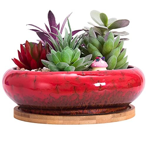 ARTKETTY Succulent Pots - 7.3 Inch Large Succulent Planters with Drainage Ceramic Bonsai Pots with Bamboo Tray, Shallow Planters for Indoor Cactus Plants Decorative Flower Plant Container - Image 1