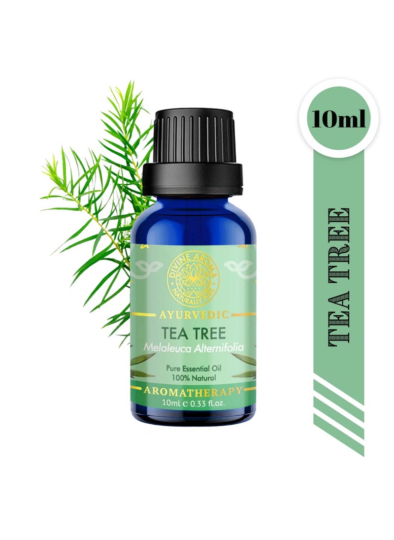 DIVINE AROMA Divine Aroma Lavender Sandalwood Tea Tree Eucalyptus Peppermint Citronella Orange 100 Pure Natural Essential Oil 10ml x 7Undilute Exotic Aroma Summer Combo For Fragrance Home Clean Home Comfort The Body Pamper Your Skin Sun Protection Cool and Safe  - Image 5