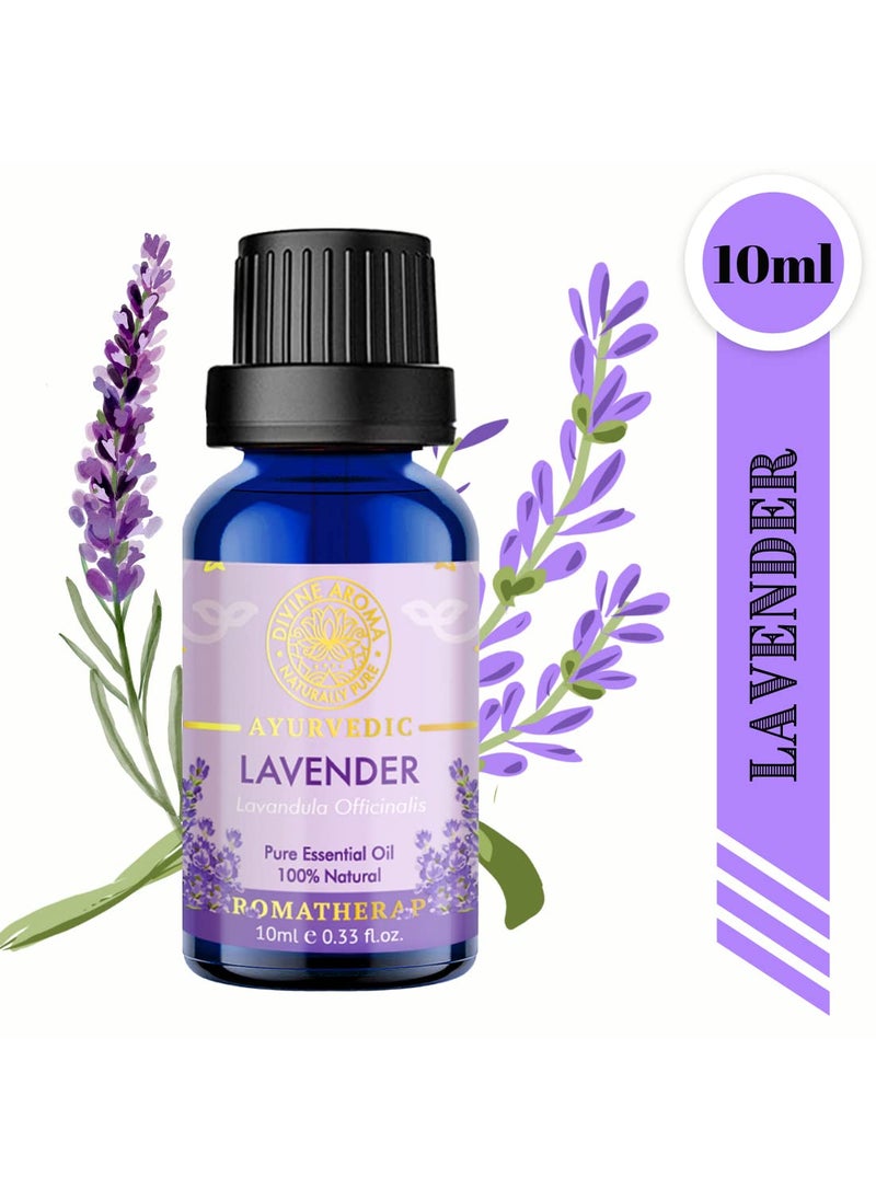 DIVINE AROMA Divine Aroma Lavender Sandalwood Tea Tree Eucalyptus Peppermint Citronella Orange 100 Pure Natural Essential Oil 10ml x 7Undilute Exotic Aroma Summer Combo For Fragrance Home Clean Home Comfort The Body Pamper Your Skin Sun Protection Cool and Safe  - Image 3