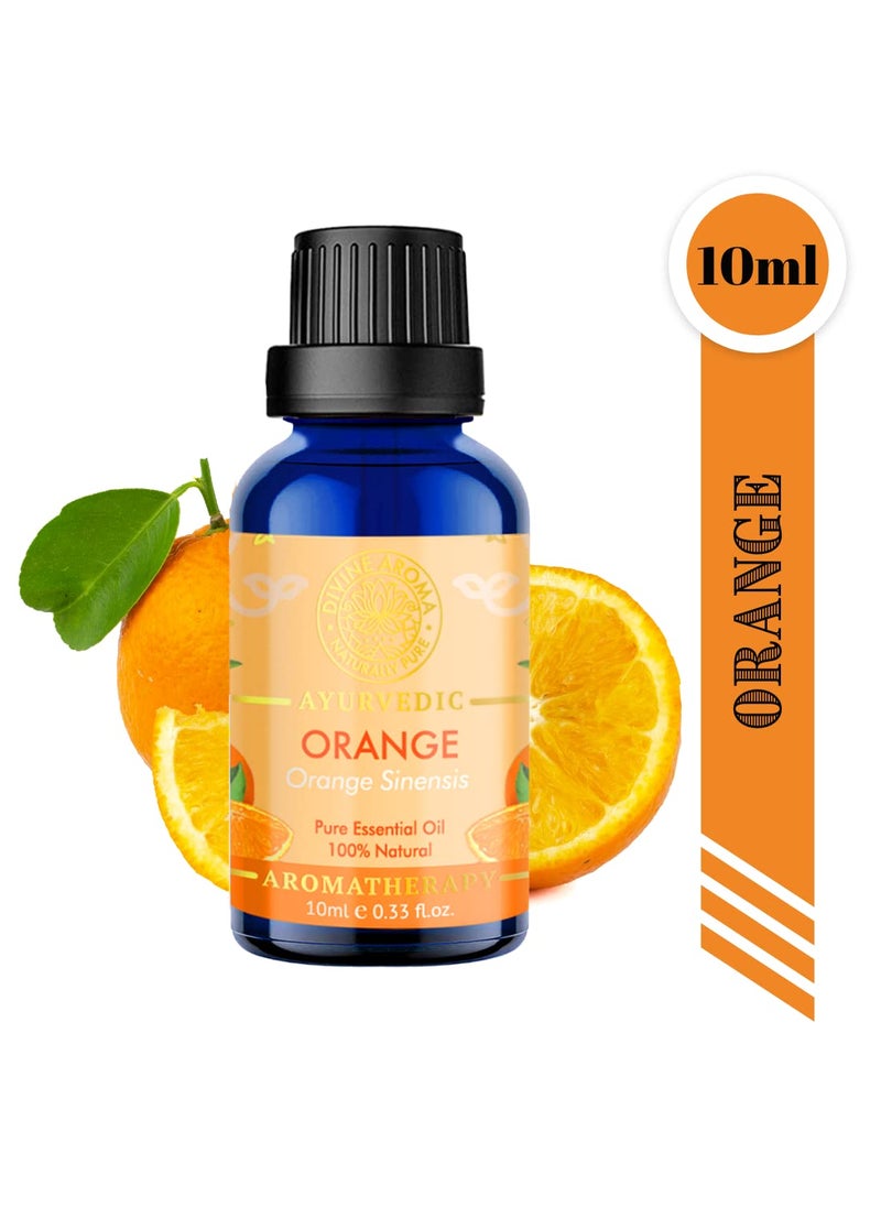 DIVINE AROMA Divine Aroma Lavender Sandalwood Tea Tree Eucalyptus Peppermint Citronella Orange 100 Pure Natural Essential Oil 10ml x 7Undilute Exotic Aroma Summer Combo For Fragrance Home Clean Home Comfort The Body Pamper Your Skin Sun Protection Cool and Safe  - Image 4