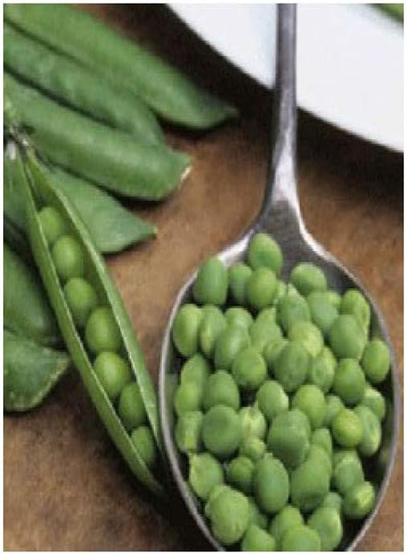 GGOOT Pea Provencal Petit Pois 800 (152.5g's Approx.) Vegetable Seeds - Sweet & Tender - Excellent Variety (800 Seeds) - Image 1