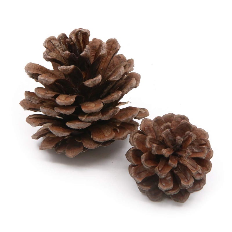Apol Total 120 Pcs Artificial Acorns and Natural Pinecones Ornament Set for Home House Christmas Decoration Photo Props  - Image 2