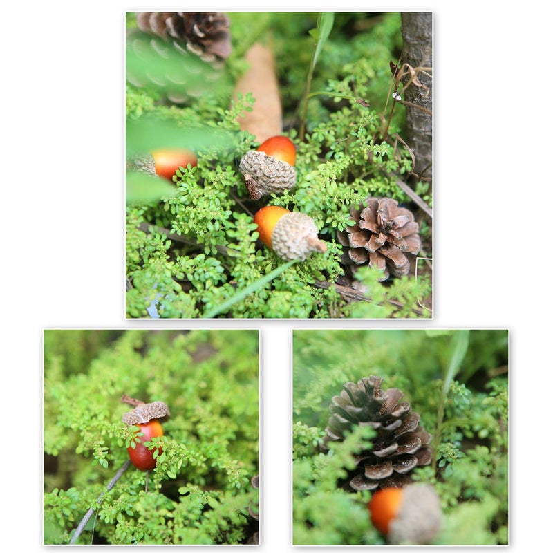 Apol Total 120 Pcs Artificial Acorns and Natural Pinecones Ornament Set for Home House Christmas Decoration Photo Props  - Image 4