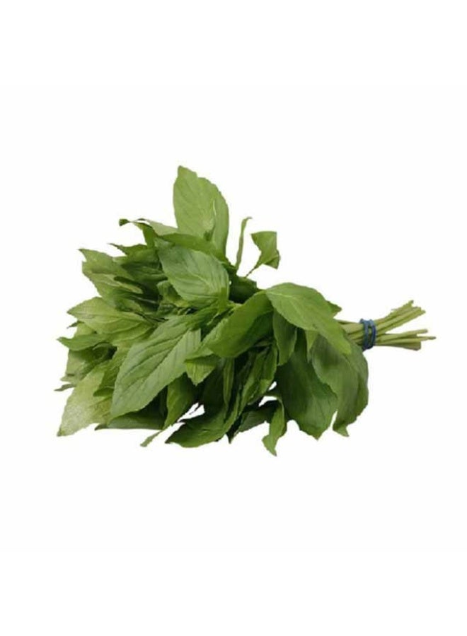Sweet Thai Basil, 50g, Thailand