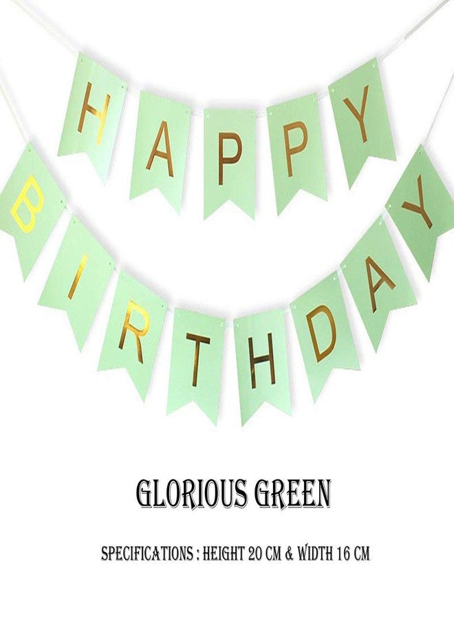 FAVELA Happy Birthday Backdrop Decorative Items - 13 Pcs Reusable Cardstock Birthday Banner Flag Kits For Boys Girls (Green) - Image 4