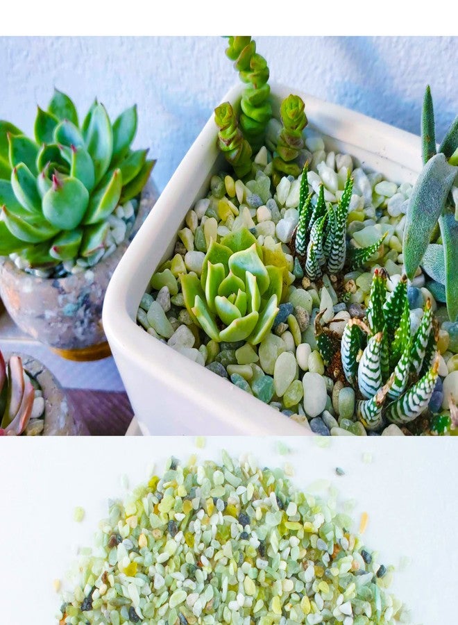 Anothera 3lb Jade Bean Sand Stone-Succulents and Cactus Bonsai DIY Projects Rocks,Decorative Gravel for Plants and Vases Fillers,Terrarium,Fairy Gardening,Natural Stone Top Dressing for Potted Plants (5mm-8mm) - Image 4