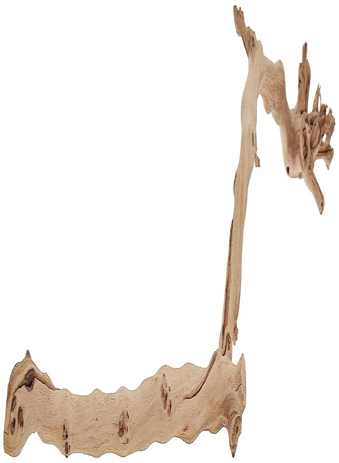 Exo Terra Forest Branch, Large (Exact Size May Vary) - Image 1