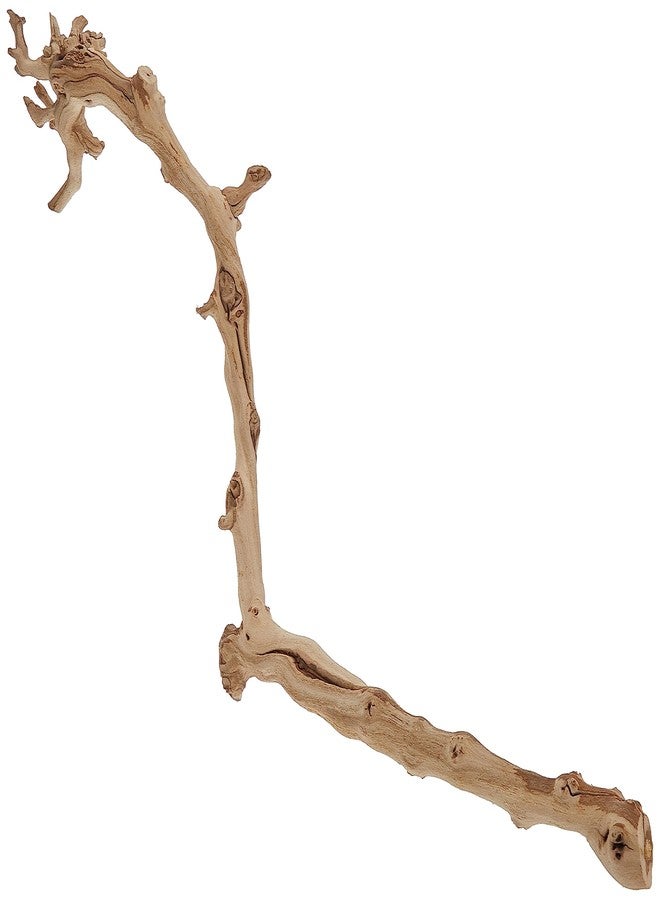 Exo Terra Forest Branch, Large (Exact Size May Vary) - Image 2