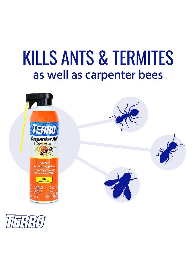 TERRO T1901SR Ready to Use Indoor and Outdoor Carpenter Ant Termite and Carpenter Bee Killer Aerosole Spray 2 Pack 32 Total Ounces - Image 3