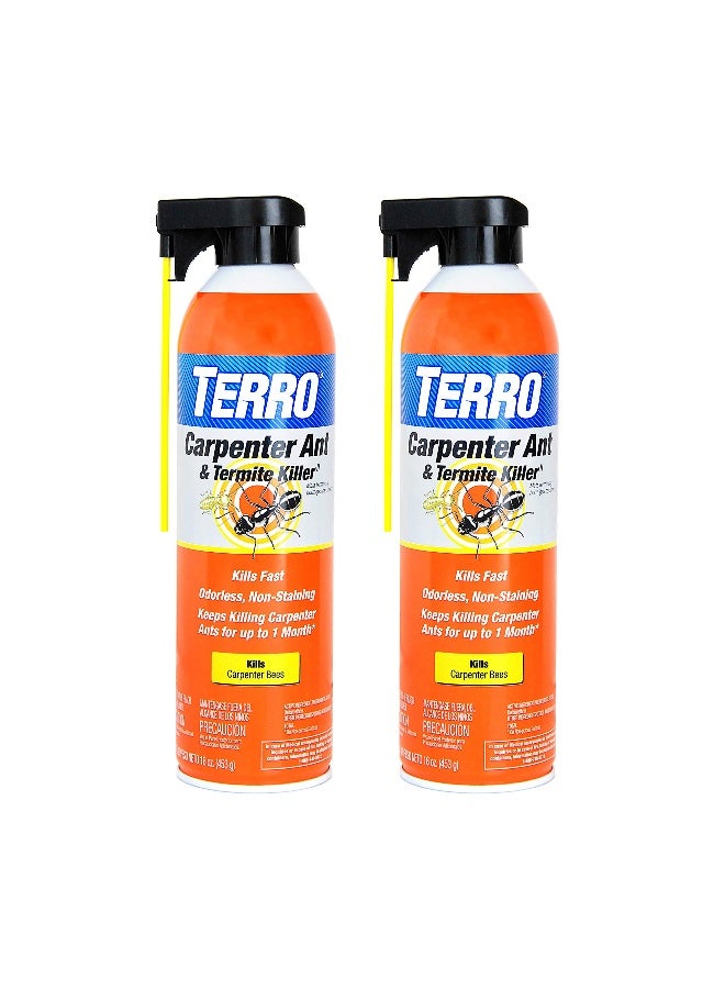 TERRO T1901SR Ready to Use Indoor and Outdoor Carpenter Ant Termite and Carpenter Bee Killer Aerosole Spray 2 Pack 32 Total Ounces - Image 1