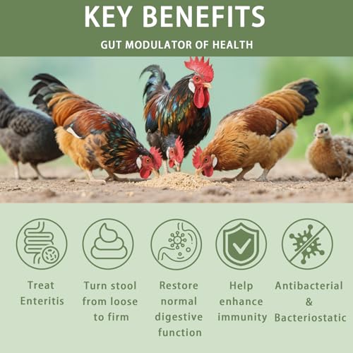 Jmxus Chicken Gut Modulator of Health Natural Formula Anti Diarrhea Modulator Powder for Chickens Poultry Control and Prevent Diarrhea Enteritis IssuesStop The Runs Supplement for Duck Goose10 oz - Image 3
