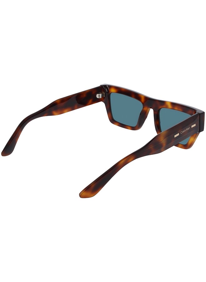 CALVIN KLEIN نظارات شمسية كاملة الإطار من أسيتات كالفن كلاين CK25510S 5220 (240) هافانا - Image 4