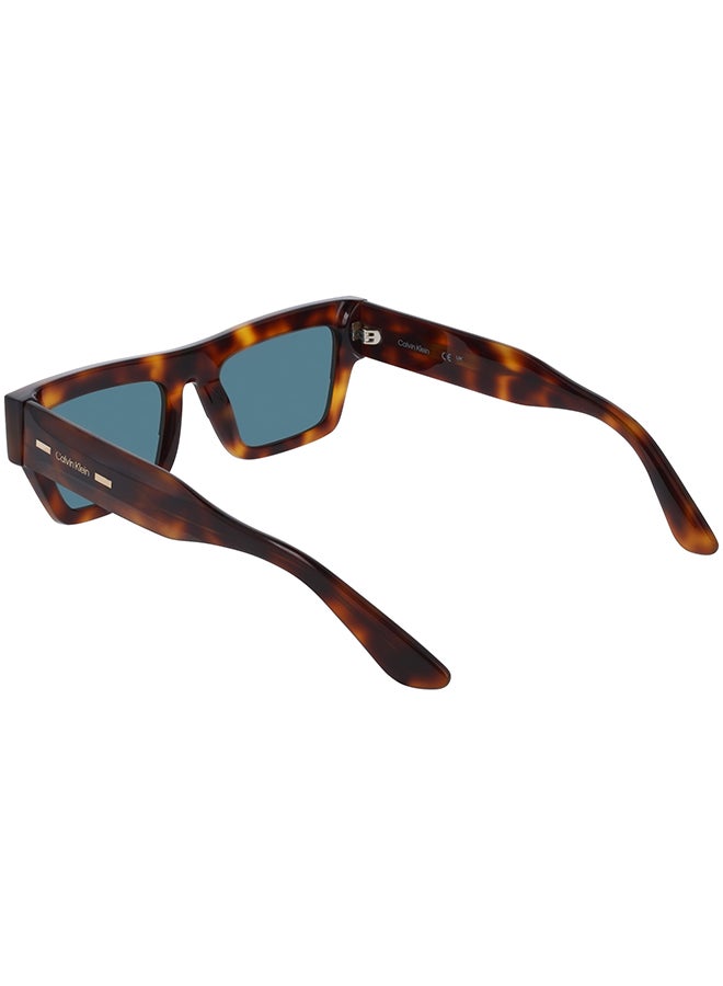 CALVIN KLEIN نظارات شمسية كاملة الإطار من أسيتات كالفن كلاين CK25510S 5220 (240) هافانا - Image 2