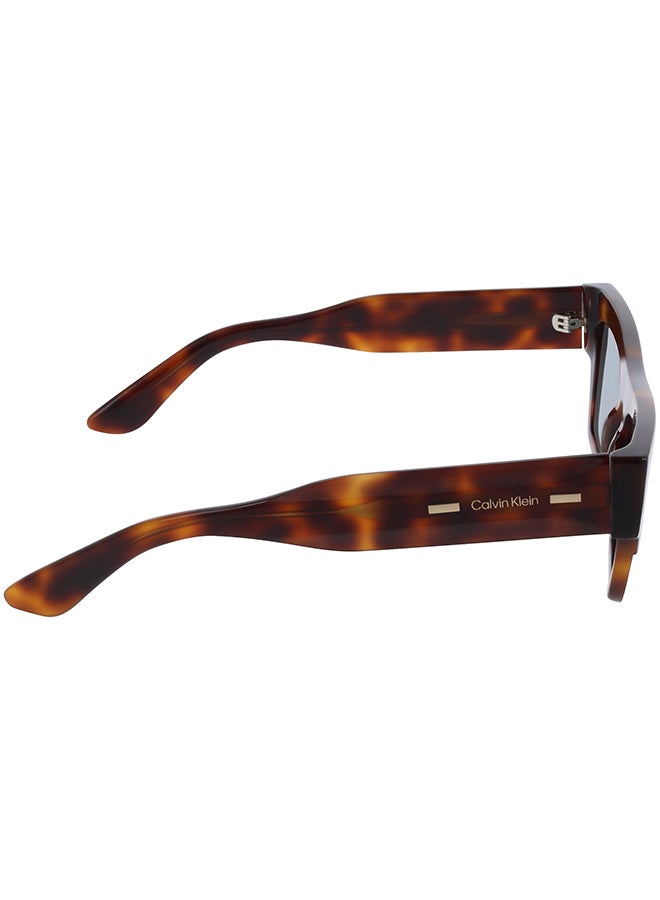 CALVIN KLEIN نظارات شمسية كاملة الإطار من أسيتات كالفن كلاين CK25510S 5220 (240) هافانا - Image 5